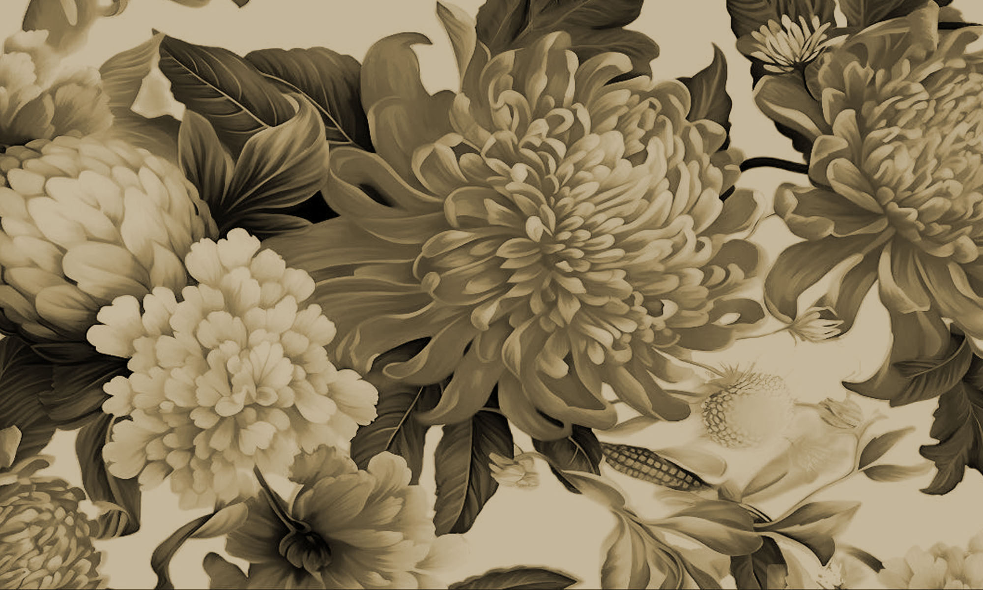 OODLES by the Nood Bar